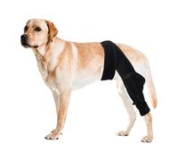 Duomaiyoyo Genouillère professionnelle pour chien déchiré LCA, C t arthrite - Support réglable et robuste pour chiens de taille moyenne à grande de 18 à 35 kg, aide à la récupération post-chirurgie