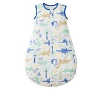 Duomiaomiao 2,5 TOG Gigoteuse bébé annuelle Ganzjahres, 100% Coton Gigoteuse bébé Hiver, modèle Fille Nouveau-née, Gigoteuse Chaude pour Nouveaux-nés Neugeborene Kinder(Dinosaure/S)