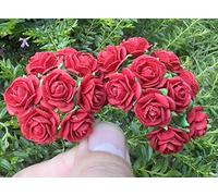 DUONGJAIS BRAND Lot de 50 mini roses en papier de mûrier faites à la main 18 mm pour scrapbooking, mariage, loisirs créatifs (couleur rouge)