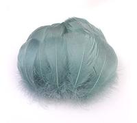 Duories Lot 100 Plumes colorées pour travaux manuels,Plumes d'oie pour Bricolage,Masques,Chapeaux,boucd'oreilles,Accessoires pour Cheveux,Attrape-rêves,Mariage,Carnaval,fête,7-12 cm,Gris et Bleu