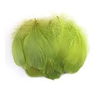 Duories Lot 100 Plumes colorées pour travaux manuels,Plumes d'oie pour Bricolage,Masques,Chapeaux,boucd'oreilles,Accessoires pour Cheveux,Attrape-rêves,Mariage,Carnaval,fête,7-12 cm,Vert Olive