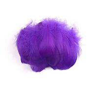 Duories Lot 100 Plumes colorées pour travaux manuels,Plumes d'oie pour Bricolage,Masques,Chapeaux,boucd'oreilles,Accessoires pour Cheveux,Attrape-rêves,Mariage,Carnaval,fête,7-12 cm Violet foncé