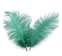 Duories Lot 20 Plumes d'autruche Naturelles 20 à 25 cm Plumes pour Loisirs créatifs pour Attrape-rêves Accessoire décoration la Maison Costume Décoration Table Mariage Décoration Chapeau Vert foncé