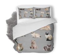 Duosm Housse de Couette 220x240 Housse de Couette Chat Animal Imprimé 2 Personnes, Parure de Lit Chaton Chat Microfibre avec 2 x Taie d'oreiller 65x65 cm avec Fermeture éclair