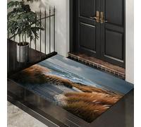 DUOTCYELE 90 x 150 cm Paillasson Beihai Plages Prairies pour Intérieur, Paillasson Paysages Naturels Vintage Lavable Antidérapant pour Porte D'entrée, Couloir, Porte, Brun