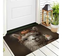 DUOTCYELE Paillasson Colibri Citrouille Alpaga Lavable pour L'intérieur - Poils Courts - Portrait d'animal Vintage - 50 x 80 cm - Pliable - Antidérapant - pour Porte D'entrée, Cuisine, Patio, Couloir