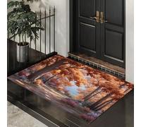 DUOTCYELE Paillasson Interieur Entrée Forêt d'automne Chemin 45 x 75 cm, Tapis D'entrée Antidérapant Et Lavable en Machine, Tapis Couleurs d'automne Vintage Idéal pour Entrée Porte Et Couloir, Orange