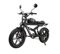 DUOTTS F20 Vélo Électrique - Moteur 750W Batterie 52V 27AH avec Freins à Disque Hydrauliques - Noir