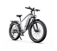 DUOTTS F26 Lite, vélo électrique, batterie 48 V 18 Ah,moteur de moyeu arrière 48 V 500 W, Argent/Blanc