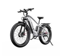 Duotts F26 Vélo Électrique - Moteurs 750W*2 Batterie 48V 20Ah Non pliable - Blanc argenté