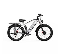 Duotts F26 Vélo Électrique - Moteurs 750W*2 Batterie 840WH 50KM Autonomie - Blanc argenté