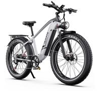 DUOTTS F26LITE - Vélo électrique 26"" - Moteur 500W 48V - Batterie 18Ah - Bluetooth APP - Shimano 7 vitesses - argenté