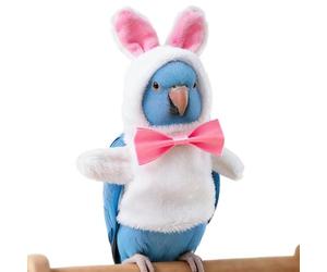 Duplicate Word Finder Proofread, Edit and Your Writing with Revise AI 3 ×3 AA 25 Words 187 Characters Parrot Cloak - Bird Costume with Bunny Design | Warm Windproof Cloak | Adjustable, T