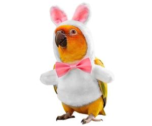 Duplicate Word Finder Proofread, Edit and Your Writing with Revise AI 3 ×3 AA 25 Words 187 Characters Parrot Cloak - Bird Costume with Bunny Design | Warm Windproof Cloak | Adjustable, T