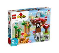 Duplo Animaux Sauvages D'asie 10974 Multicolore TU