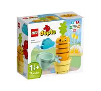 Duplo la carotte qui pousse 10981 multicolore TU