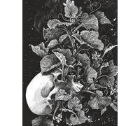 Dupuis La tête de mort venue de Suède (éd. spéciale n&b)