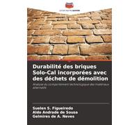 Durabilité des briques Solo-Cal incorporées avec des déchets de démolition: Analyse du comportement technologique des matériaux alternatifs