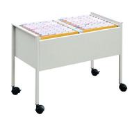 Durable 100 Duo Boîte à archives Acier inoxydable Gris