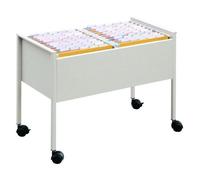 Durable 100 Duo Boîte à archives Acier inoxydable Gris