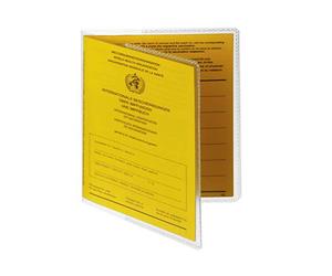 Durable 213919 Lot de 10 Etuis de protection souple double face 133 x 195 mm