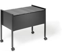 Durable 309501 Classement pour Dossier suspendu Standard 80 A4 Noir