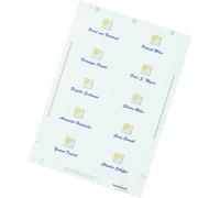 DURABLE BADGEMAKER® Carte d'insertion en carton 150 g/m² 90 x 54 mm Blanc (200 pièces)