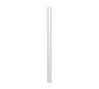 DURABLE Baguettes à relier A4 3 mm boîte de 100, 100 pc, Transparent, 290019