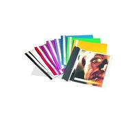 DURABLE chemise à lamelles, format A4, en film rigide, blanc