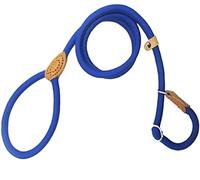Durable Laisse pour Chien Chaîne Chien Laisse Slip Collier Marche Conduit Nylon Montagne Escalade Corde Chiot Pet Traction pour Chiens Multiposition Robuste(Blue,10mm*1.5m)
