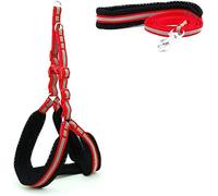 Durable Laisse pour Chien Chien Chats Harnais Gilet réfléchissant Respirant Maille Produits pour Animaux de Compagnie Chiens Laisse Collier réglable Multiposition Robuste(B,40-53cm)