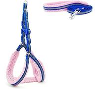 Durable Laisse pour Chien Chien Chats Harnais Gilet réfléchissant Respirant Maille Produits pour Animaux de Compagnie Chiens Laisse Collier réglable Multiposition Robuste(A,40-53cm)