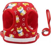 Durable Laisse pour Chien Gilet De Sangle Poitrine Corde Traction Réfléchissante pour Animaux Compagnie Marche Petit Et Collier Laisse Chien Harnais Laisses Plomb Multiposition Robuste(Rot,29-33cm)