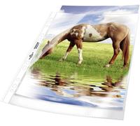 Durable Pochette 2677 DIN A4 polypropylène 0.08 mm transparent 267719 50 pc(s)