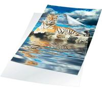 Durable 233519 Boite de 100 Pochettes coin PP 012 mm