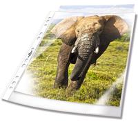 DURABLE Pochettes perforées BUSINESS A4 PP sachet de 100, 100 pc, Transparent, 265819