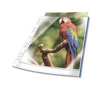 DURABLE – Pochettes perforées transparentes PREMIUM A4, 25 pièces, bords colorés, Bleu