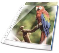 DURABLE Pochettes perforées transparentes PREMIUM A4 PP sachet de 10, 10 pc, Bleu, 265406