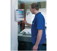 Durable 569100 Function Wall Support Métallique Mural 10 Pochettes pour Consultation et Présentation Documents A4 5 Rouge/5 Bleu