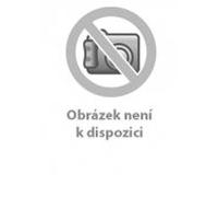 Durhamsti Byci (Bull Durham) (Tchèque version)