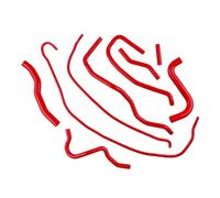 Durite Admission D'Air Kit De 9 Tuyaux De Refroidissement En Silicone Pour Ford Pour Fiesta Mk6 ST 150 Facelift 2.0 Duratec ST Engine 2006 2007 2008(Rouge)