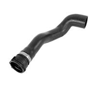 Durite de Liquide de Refroidissement Automobile, durite d'eau de Refroidissement du radiateur provenant du Vase d'expansion 11531716641 pour Z3 1999