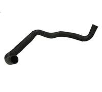 Durite de radiateu THERMOTEC DW0539TT pour i10 I (PA) 1.1 2011-2013