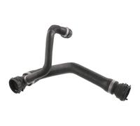 DURITE DE RADIATEUR 46036