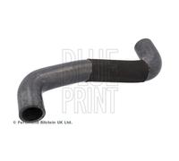 Durite De Radiateur Blue Print Adbp930016