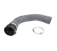 Durite de radiateur FEBI BILSTEIN 49124
