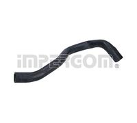DURITE DE RADIATEUR FORD FOCUS 1.8TDDI 98- TOP