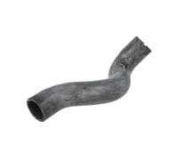 Durite de radiateur IMPERGOM 221441