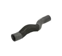Sasic Durite de radiateur 3400213 supérieure droite pour Citroën/DS/Peugeot