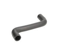 Sasic Durite de radiateur 3404063